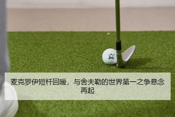 mai-ke-luo-yi-duan-gan-hui-nuan-yu-she-fu-lei-de-shi-jie-di-yi-zhi-zheng-xuan-nian-zai-qi-3-332.jpg