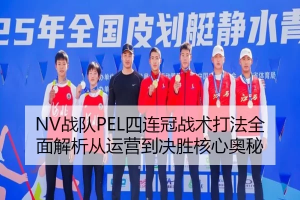 NV战队PEL四连冠战术打法全面解析从运营到决胜核心奥秘