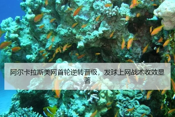 阿尔卡拉斯美网首轮逆转晋级，发球上网战术收效显著