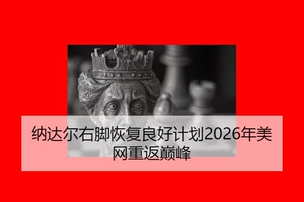 na-da-er-you-jiao-hui-fu-liang-hao-ji-hua-nian-mei-wang-chong-fan-dian-feng-3-450.jpg
