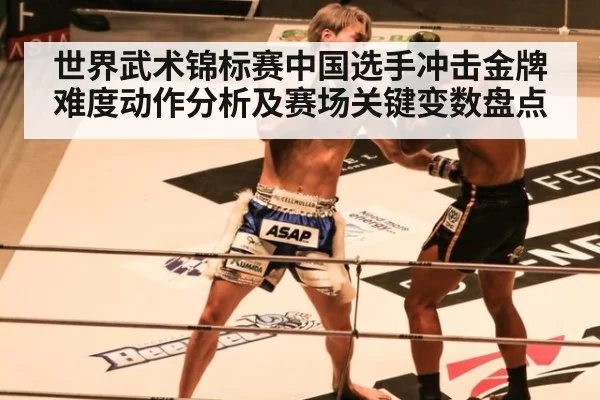 世界武术锦标赛中国选手冲击金牌难度动作分析及赛场关键变数盘点